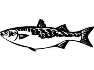  Mullet Fish_ 1 4 1_ V A 1 Decal Proportional