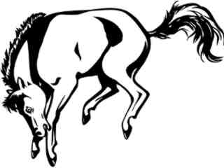  Mustang Horse_ 1 4 6_ V A 1 Decal Proportional