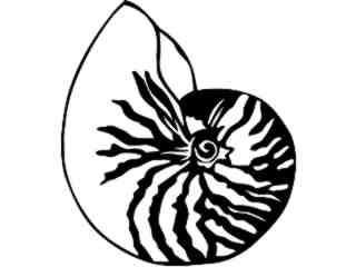  Nautilus_ 1 4 0_ V A 1 Decal Proportional