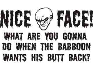  Nice Face Decal Proportional