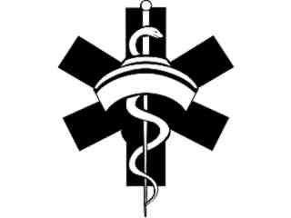  Nurse Medical_ 1 8 2_ V A 1 Decal Proportional