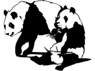  Pandas Bears_ 1 4 6_ V A 1 Decal Proportional