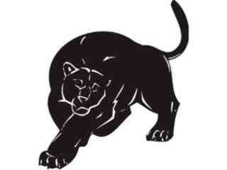  Panther Animal Wild_ 0 0 3a Decal Proportional