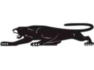  Panther Black Decal Proportional