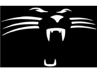  Panther Growl_ I N V Decal Proportional