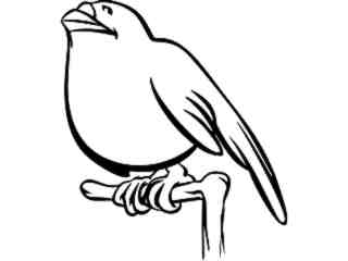  Parakeet Bird_ 0 4 4_ V A 1 Decal Proportional