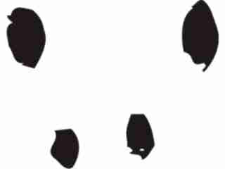  Paw Prints_ 0 1 Decal Proportional