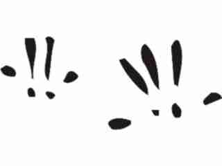  Paw Prints_ 0 2 Decal Proportional