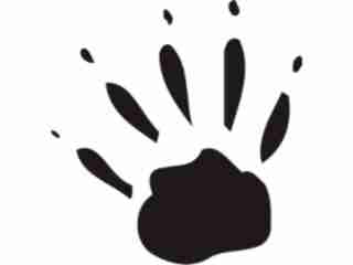  Paw Prints_ 0 3 Decal Proportional