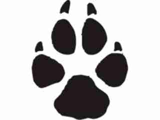  Paw Prints_ 0 5 Decal Proportional