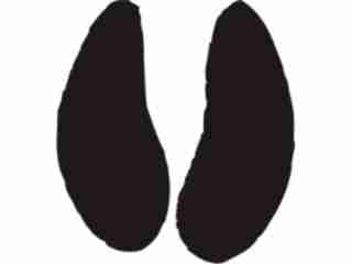  Paw Prints_ 0 7 Decal Proportional