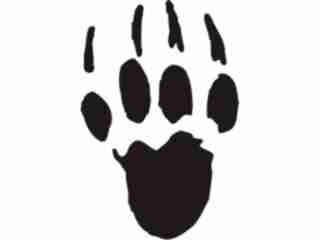  Paw Prints_ 0 8 Decal Proportional