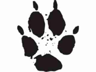  Paw Prints_ 0 9 Decal Proportional