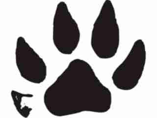  Paw Prints_ 1 1 Decal Proportional