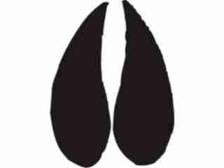  Paw Prints_ 1 2 Decal Proportional