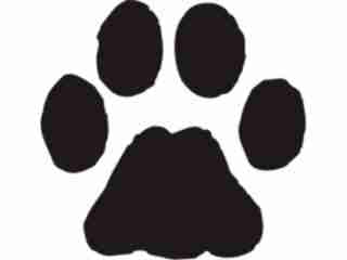  Paw Prints_ 1 4 Decal Proportional