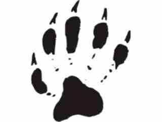  Paw Prints_ 1 7 Decal Proportional