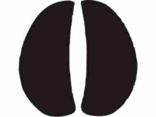  Paw Prints_ 1 8 Decal Proportional