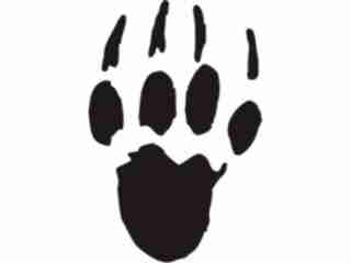  Paw Prints_ 1 9 Decal Proportional