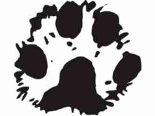  Paw Prints_ 2 2 Decal Proportional