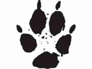  Paw Prints_ 2 3 Decal Proportional