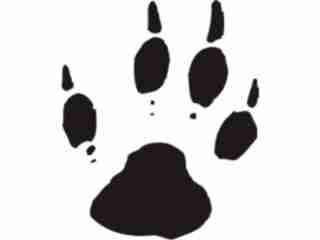  Paw Prints_ 2 4 Decal Proportional