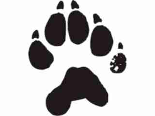  Paw Prints_ 2 5 Decal Proportional