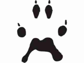  Paw Prints_ 2 6 Decal Proportional