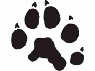  Paw Prints_ 2 7 Decal Proportional