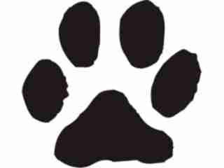 Paw Prints_ 2 9 Decal Proportional