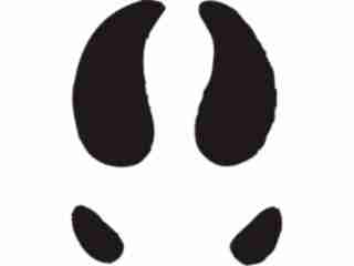  Paw Prints_ 3 0 Decal Proportional
