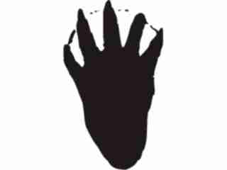  Paw Prints_ 3 1 Decal Proportional