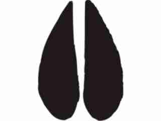  Paw Prints_ 3 2 Decal Proportional