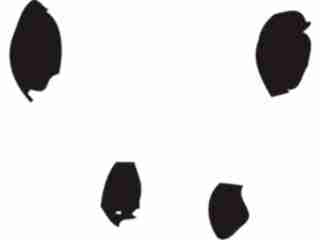  Paw Prints_ 3 5 Decal Proportional