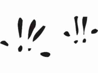  Paw Prints_ 3 6 Decal Proportional