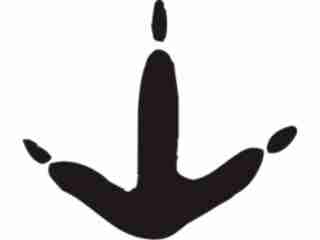  Paw Prints_ 4 0 Decal Proportional