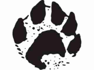  Paw Prints_ 4 1 Decal Proportional