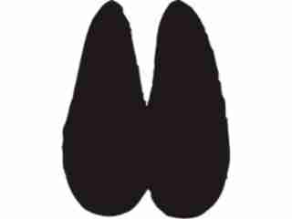  Paw Prints_ 4 3 Decal Proportional