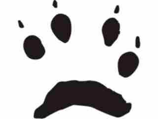  Paw Prints_ 4 4 Decal Proportional