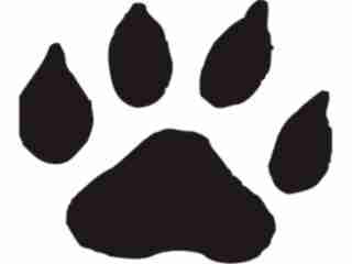  Paw Prints_ 4 6 Decal Proportional