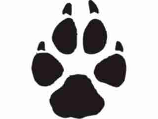  Paw Prints_ 4 7 Decal Proportional