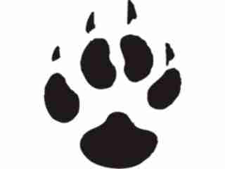  Paw Prints_ 4 8 Decal Proportional