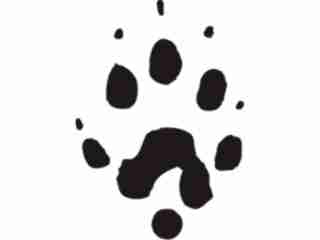  Paw Prints_ 4 9 Decal Proportional