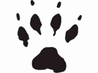  Paw Prints_ 5 1 Decal Proportional