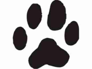  Paw Prints_ 5 2 Decal Proportional