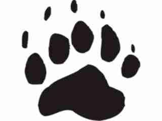  Paw Prints_ 5 3 Decal Proportional
