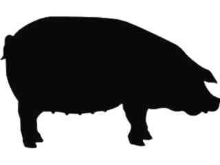  Pig Decal Proportional