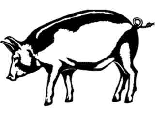  Pig_ 1 3 8_ V A 1 Decal Proportional