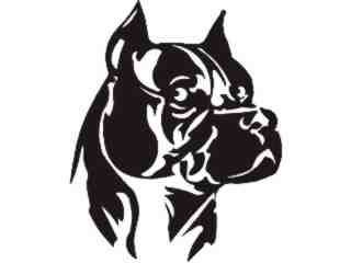  Pitbull Head Boxer Decal Proportional