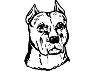  Pitbull Head Straight Decal Proportional